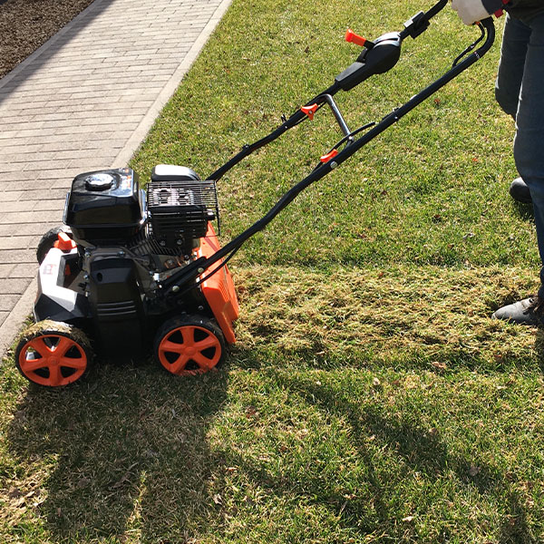 garden cleaning services