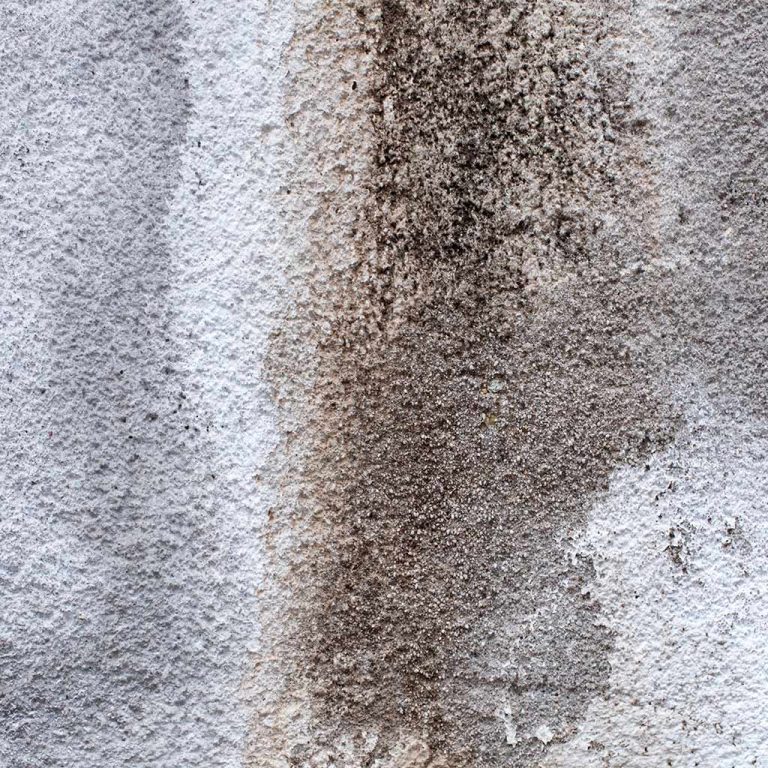 get your stains out of carpet