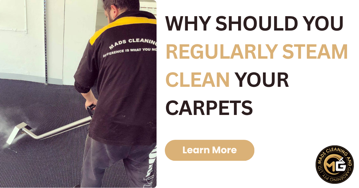 steam cleaning benefits