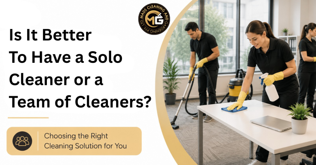 Is It Better to Have a Solo Cleaner or a Team of Cleaners?