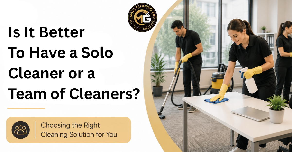 solo cleaner or team of cleaners