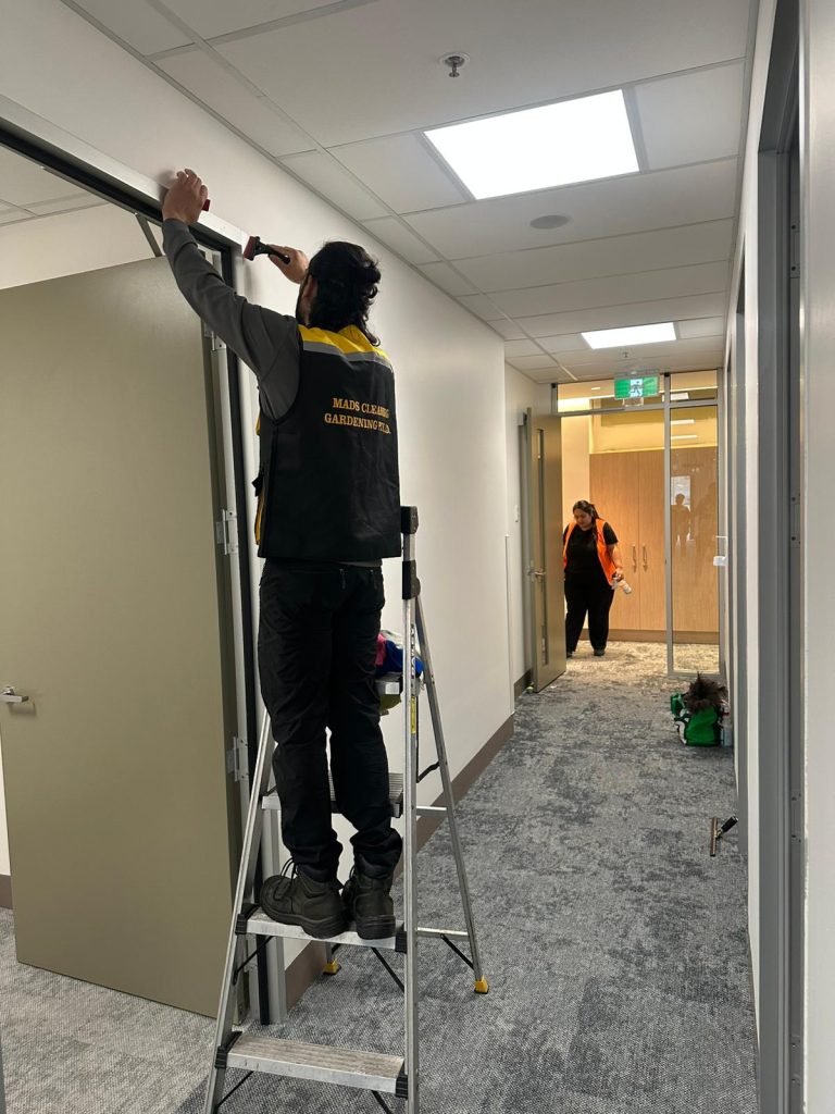 domestic cleaning in hobart