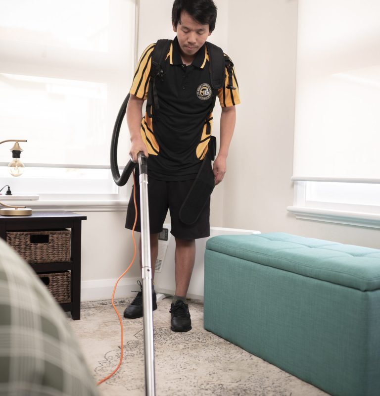 Carpet Cleaning Process