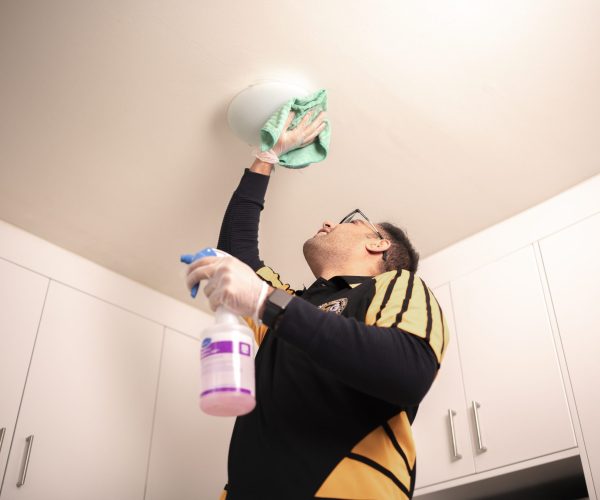 House Cleaning Services Glenorchy