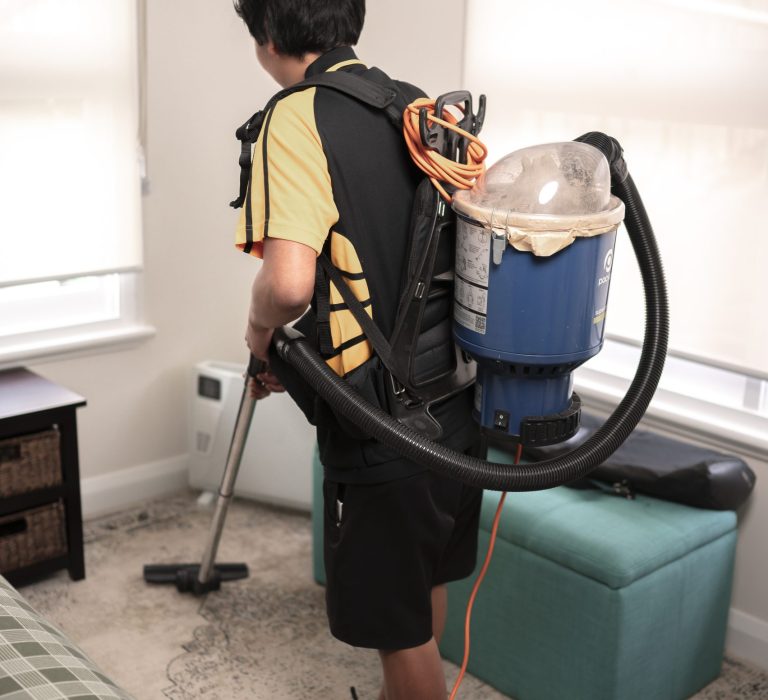 Professional Carpet Cleaning