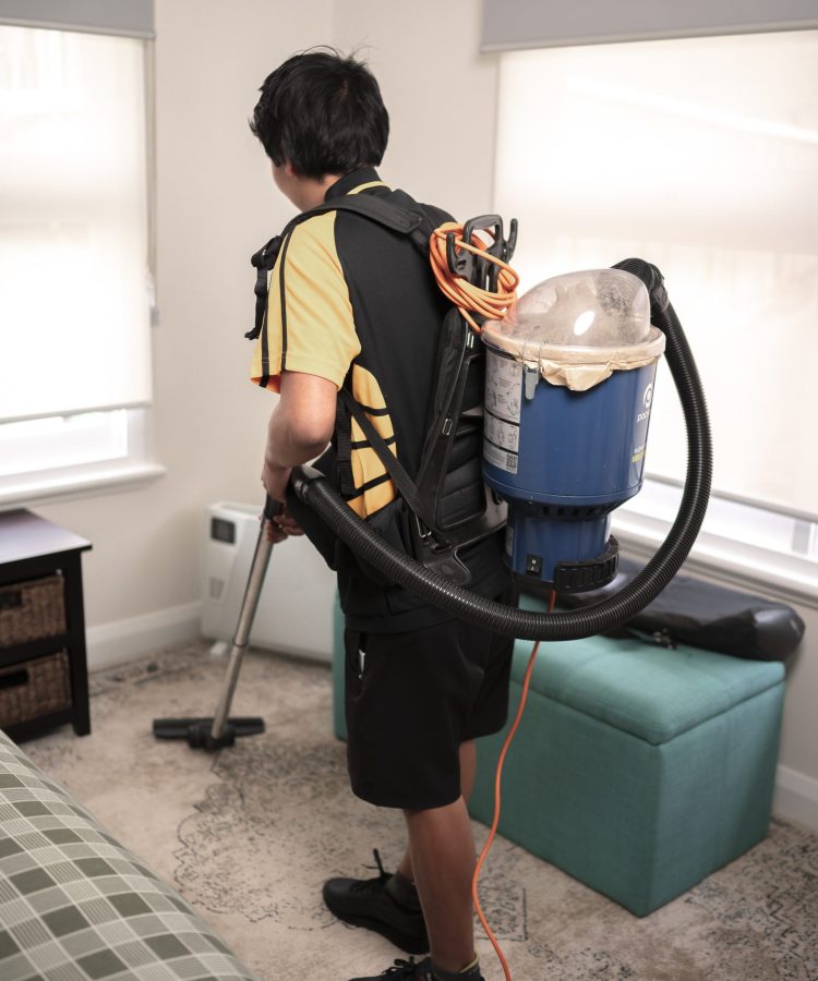 carpet cleaning sandy bay