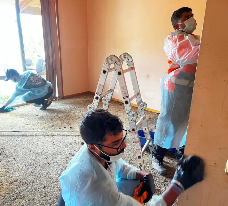squalor cleaning hobart